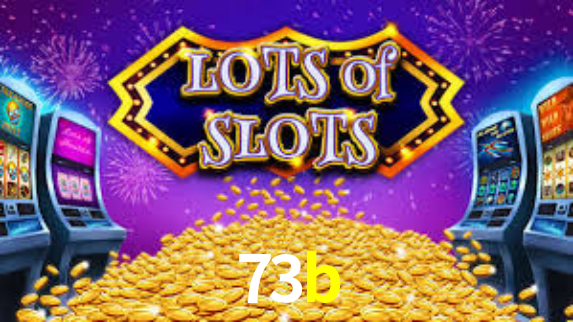 73b.com